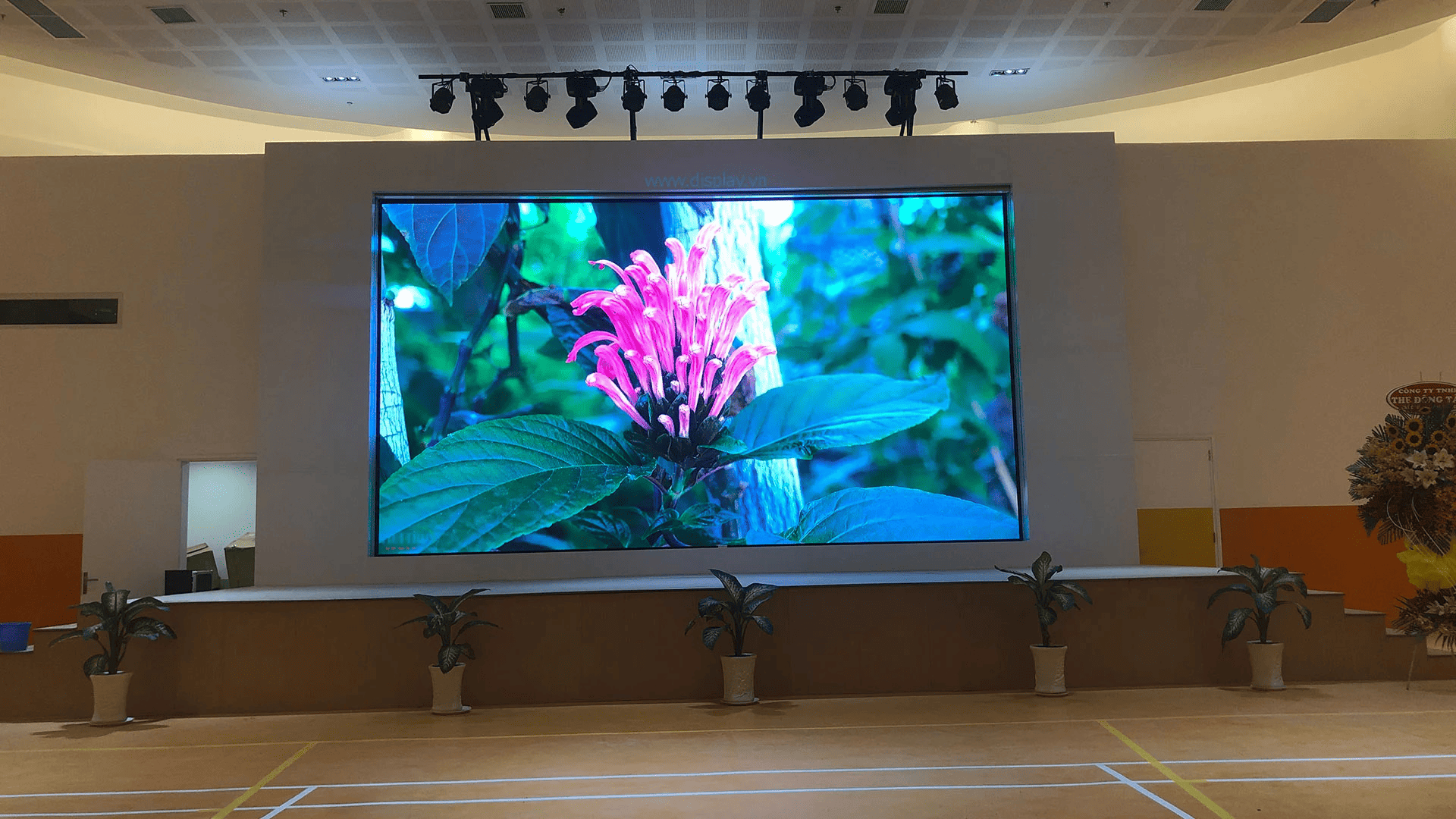 gia-man-hinh-led-p3-trong-nha