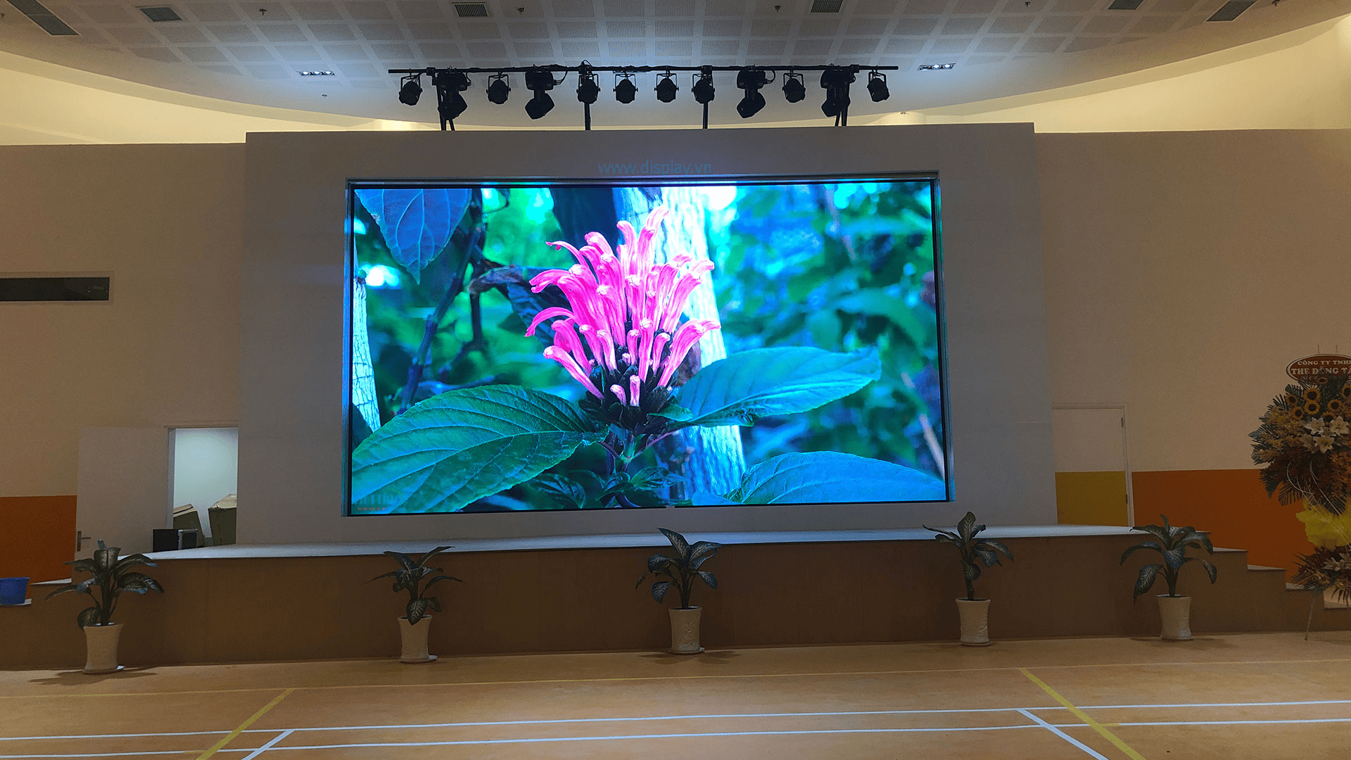 lap-man-hinh-led-da-nang